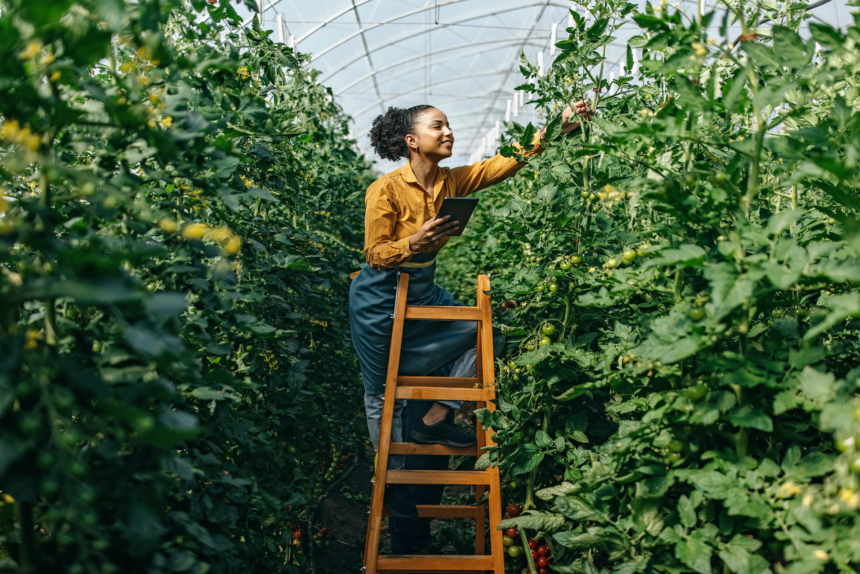 Economia verde: conheça o conceito e as profissões