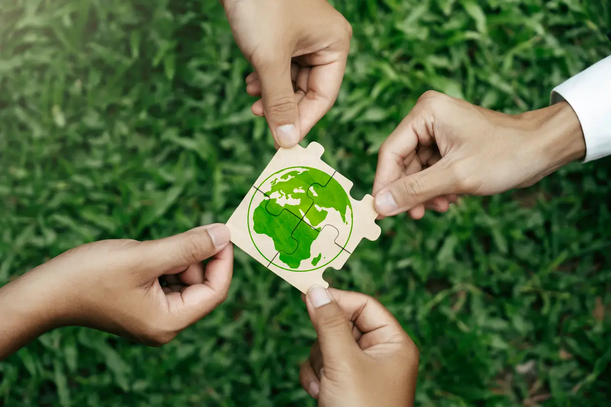 PUC Minas e sustentabilidade: conheça o novo projeto